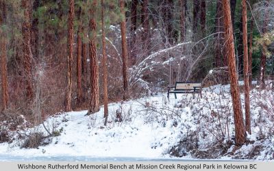 Wishbone Rutherford Memorial Bench at Mission Creek Regional Park